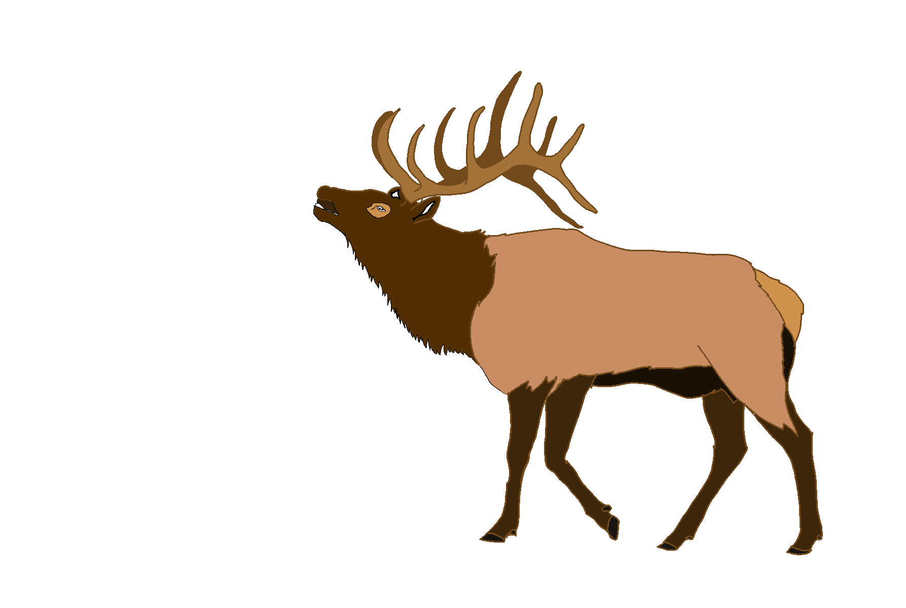 Free irish elk clipart free clipart graphics image and photos
