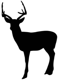 Deer Stencils 