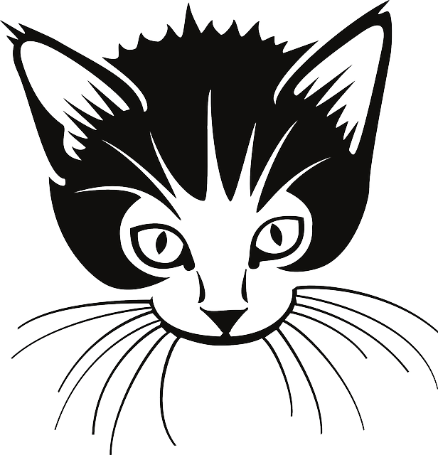 cat whiskers clipart - photo #43
