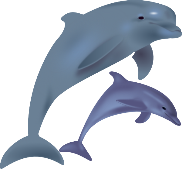 Clipart Dolphins Free