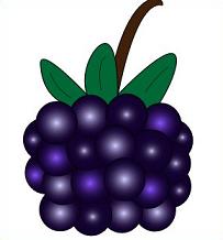 Free Blackberries Clipart