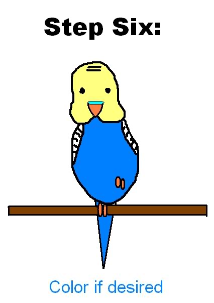 How To Draw A Parakeet