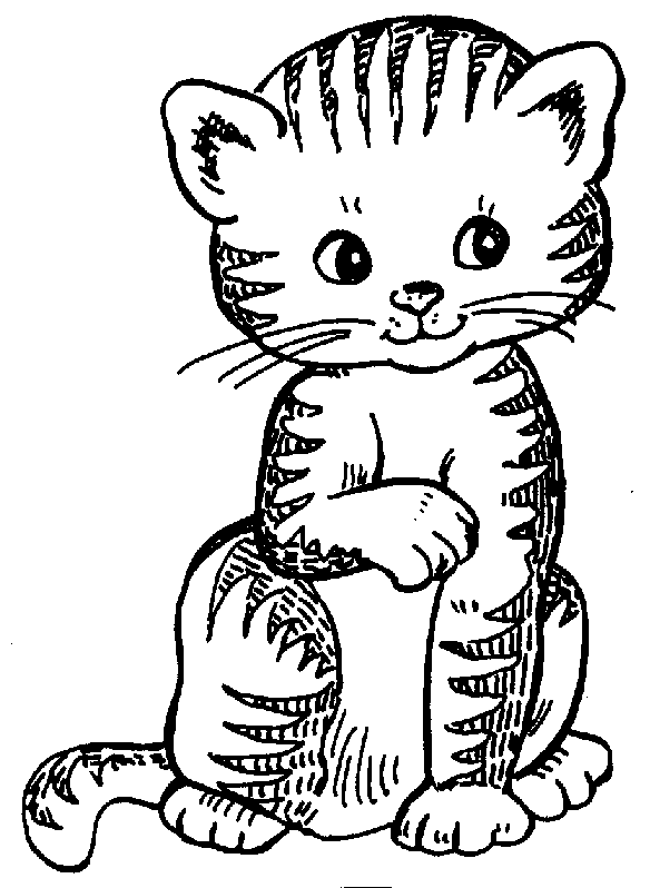 Free Cat Clipart Image