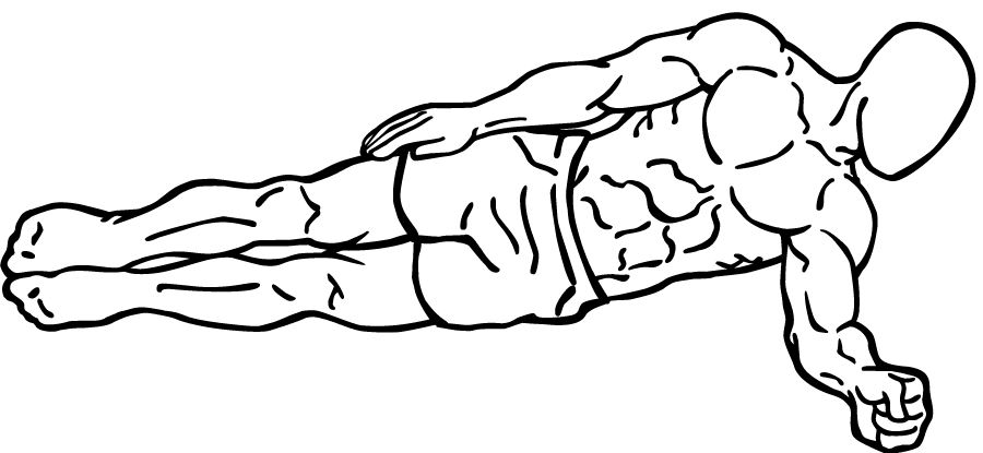 Diagram Of The Forearm