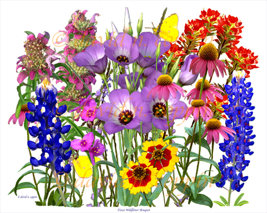 Free Wildflowers Cliparts, Download Free Wildflowers Cliparts png