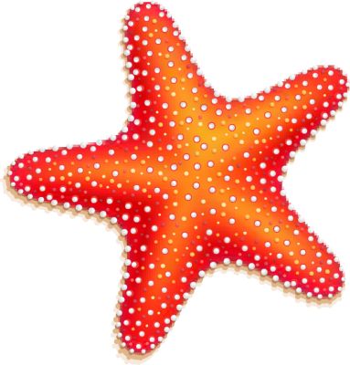 Starfish clip art at vector clip art online royalty image 