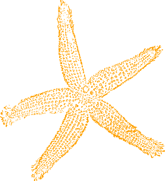 Sandy starfish clip art at vector clip art online image