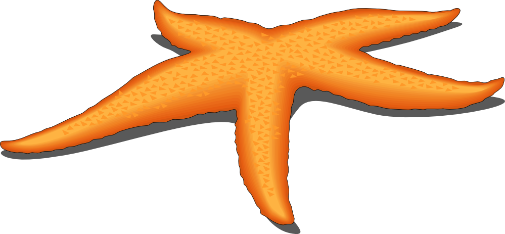 ArtFavor starfish 1 Scalable Vector Graphics SVG SVG 