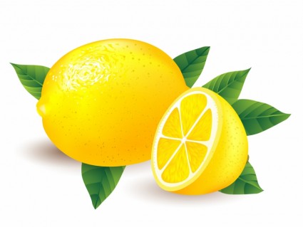 Three white lemons clip art at vector clip art online image