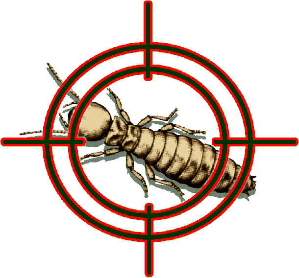 Clip Arts Related To : wasp png. view all Pest Cliparts). 