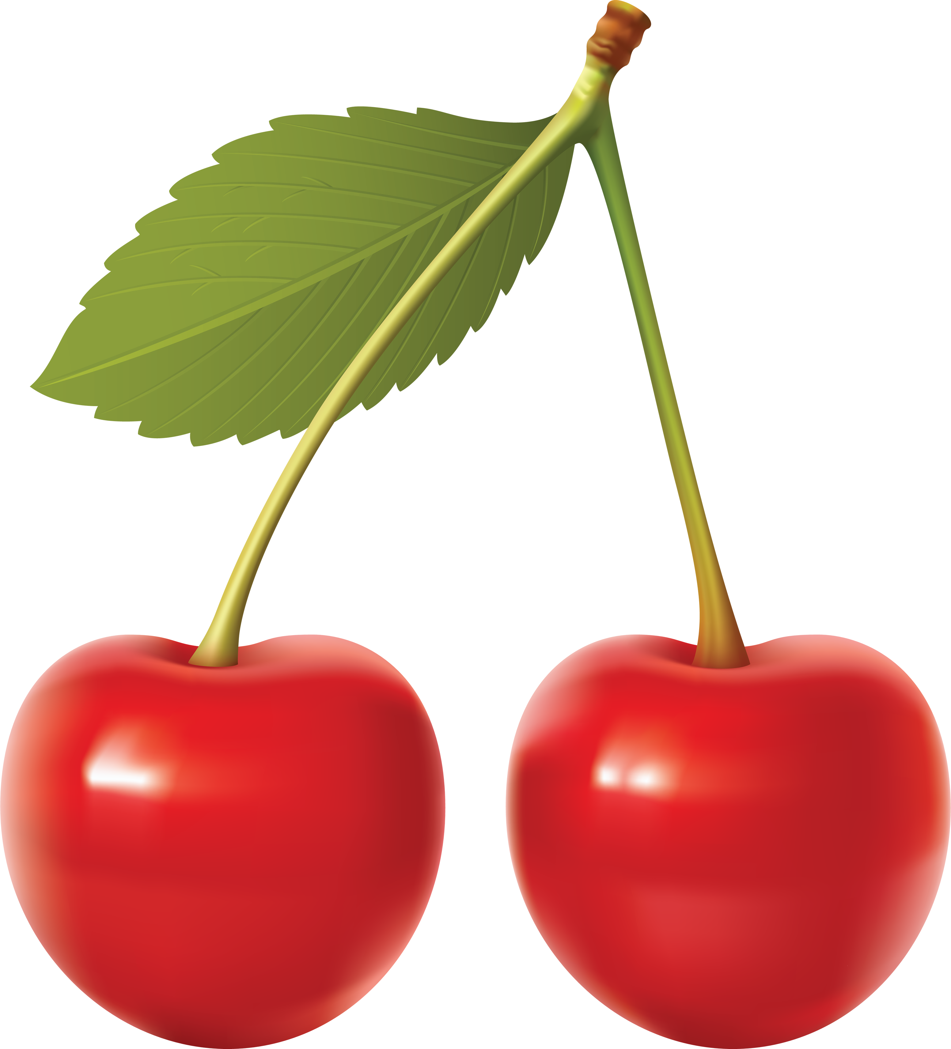 Cute cherries clip art