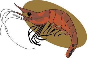 Free seafood clipart clip art image of 3 image