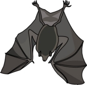 Free Bat Clipart