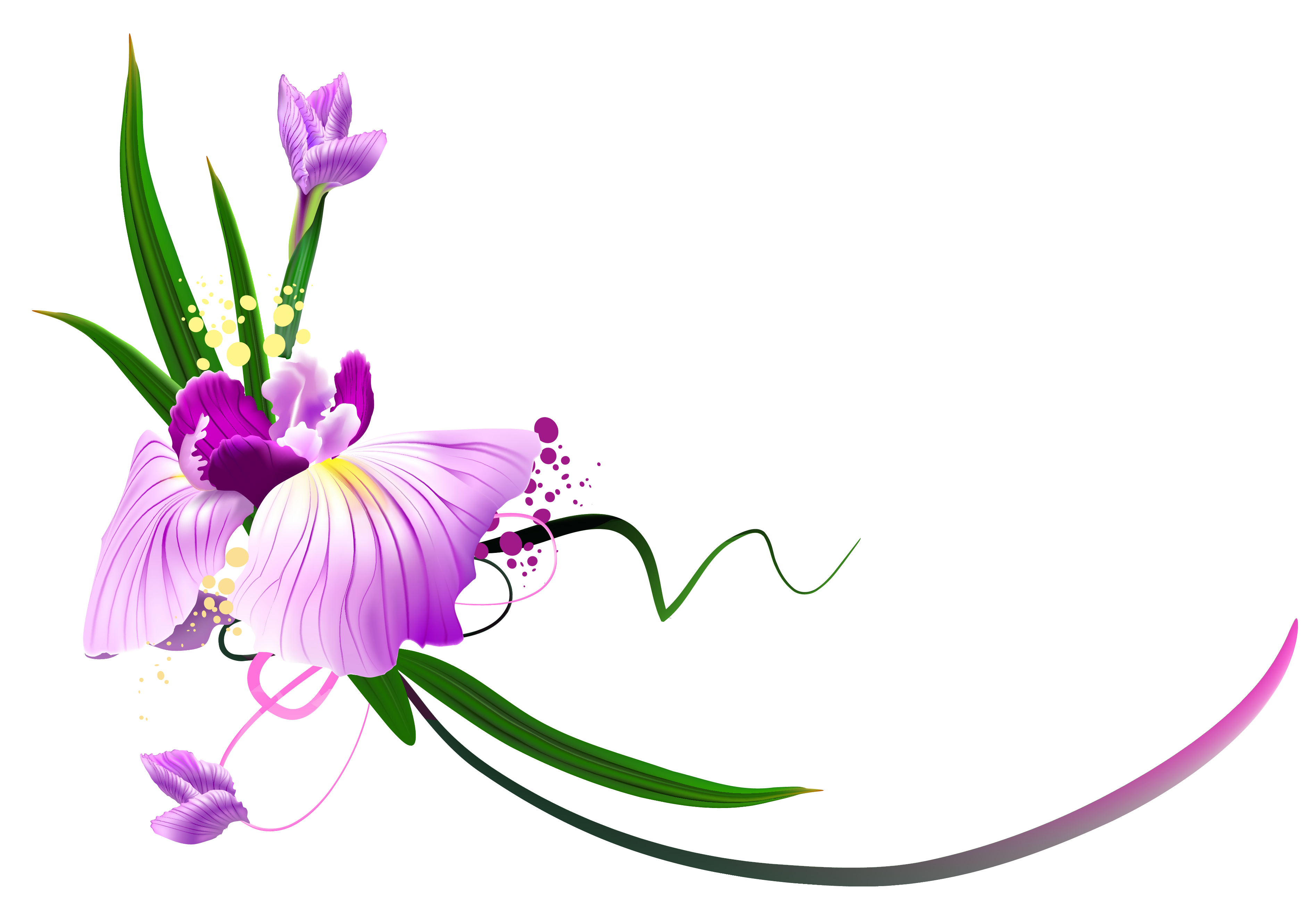 Beautiful Purple Floral Decor PNG Clipart