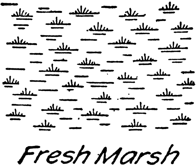 Free Marsh Cliparts, Download Free Clip Art, Free Clip Art on Clipart