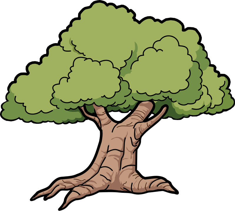 A Cartoon Tree 