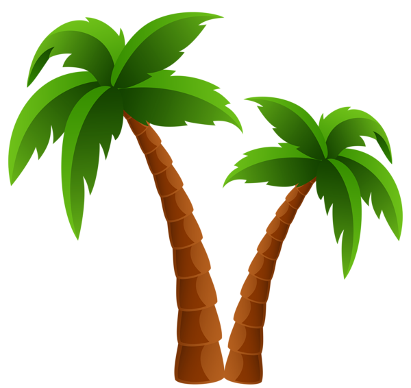 Palm tree clip art vector clipart cliparts for you
