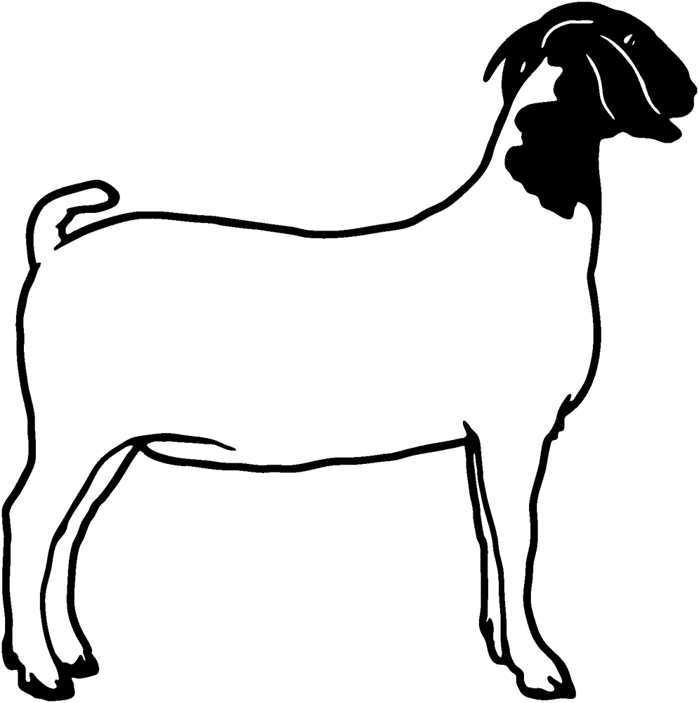 Boer Goat Silhouette