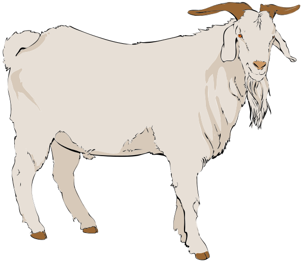 Free Bearded Goat Clipart, 1 page of Public Domain Clip Art