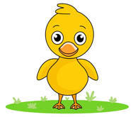 Free Duck Clipart