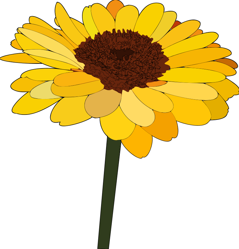 Sunflower vectors photos and psd files free download clip art