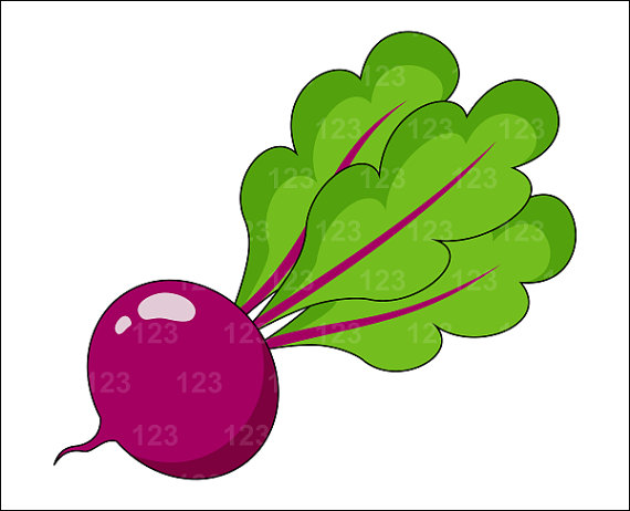 free clipart beets - photo #6