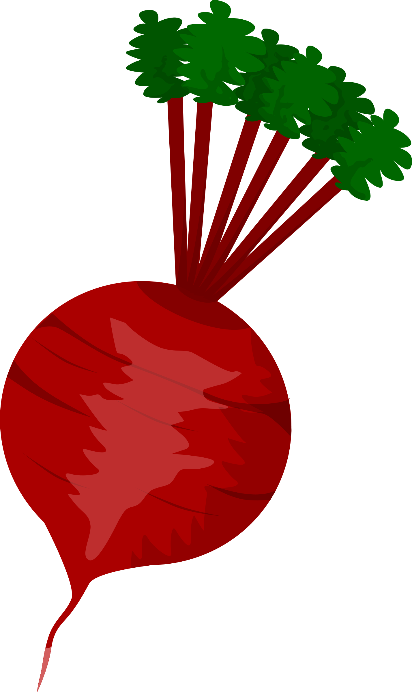 Free Beet Cliparts Download Free Beet Cliparts Png Images Free 