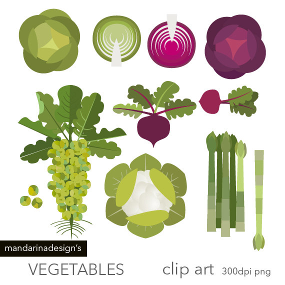 Vegetables Clipart Brussels Sprouts Cabbage by MandarinaDesign