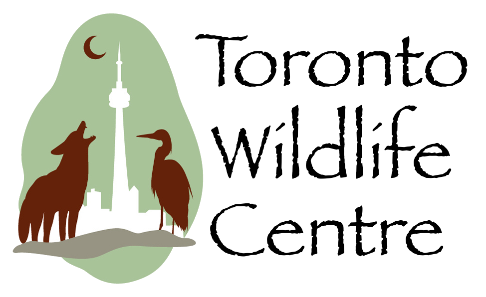 Partners In Protection: Toronto Wildlife Centre