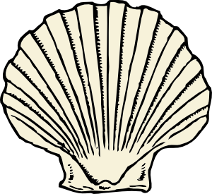 Seashell clip art sea shells clip art seashells image 