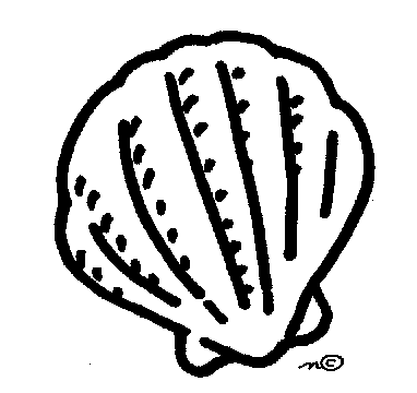 Sea Shells Clipart