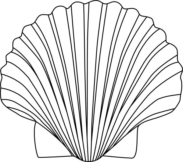 Shell Clip Art Black and White 