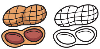 Nut Clipart Black And White 