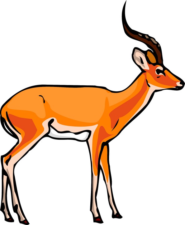Clip Arts Related To : black and white antelope. view all Addax Cliparts). 