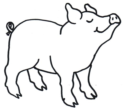 Clipart Pigs