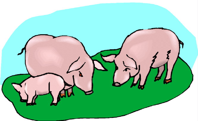 Pigs Clipart Clip Art Library