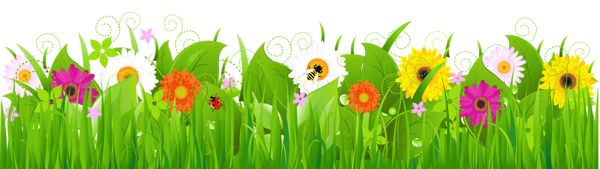 Flowers and Grass PNG Picture Clipart