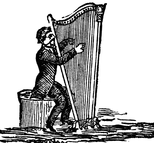 Harpist 