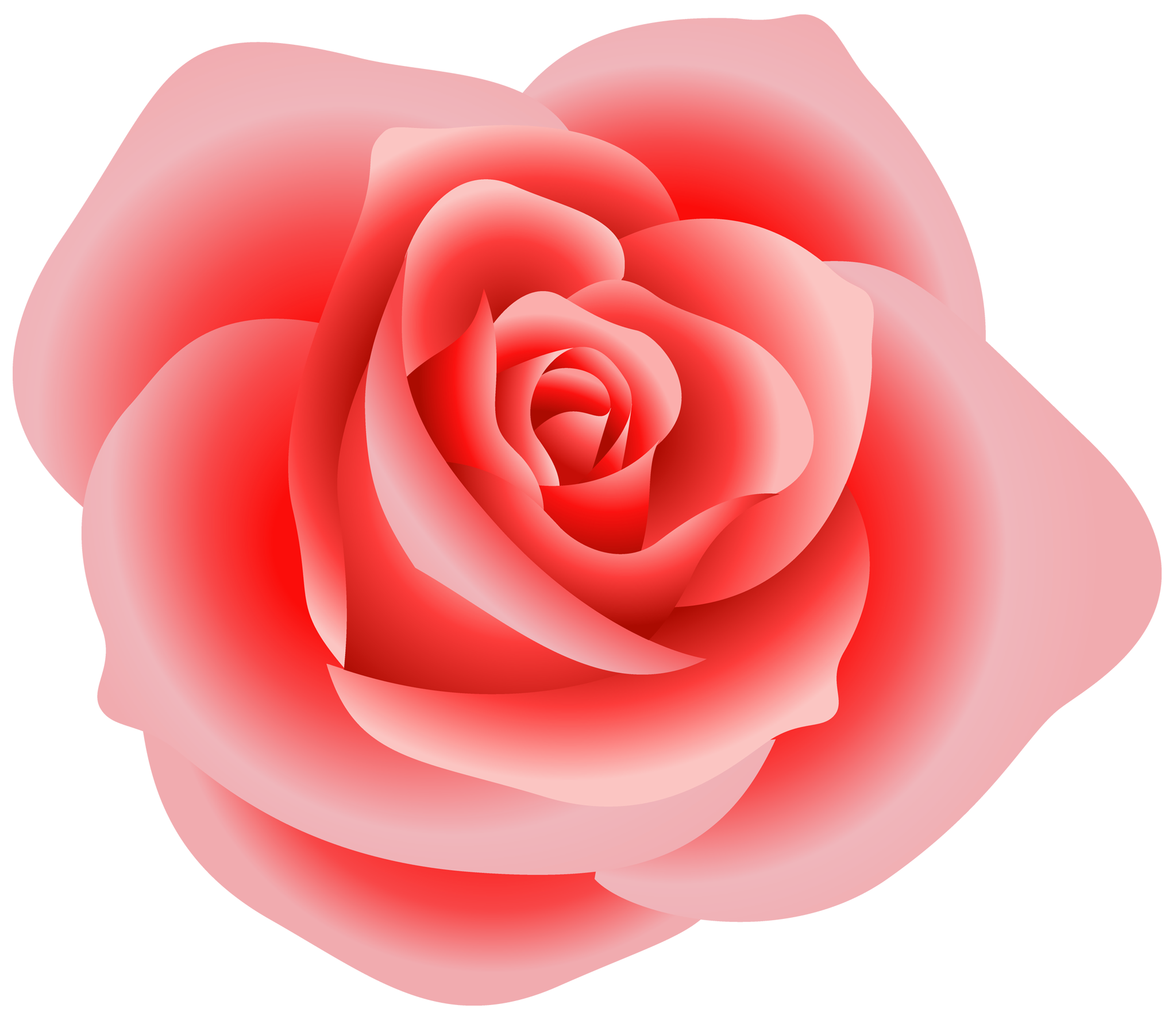 rose clip art download - photo #16