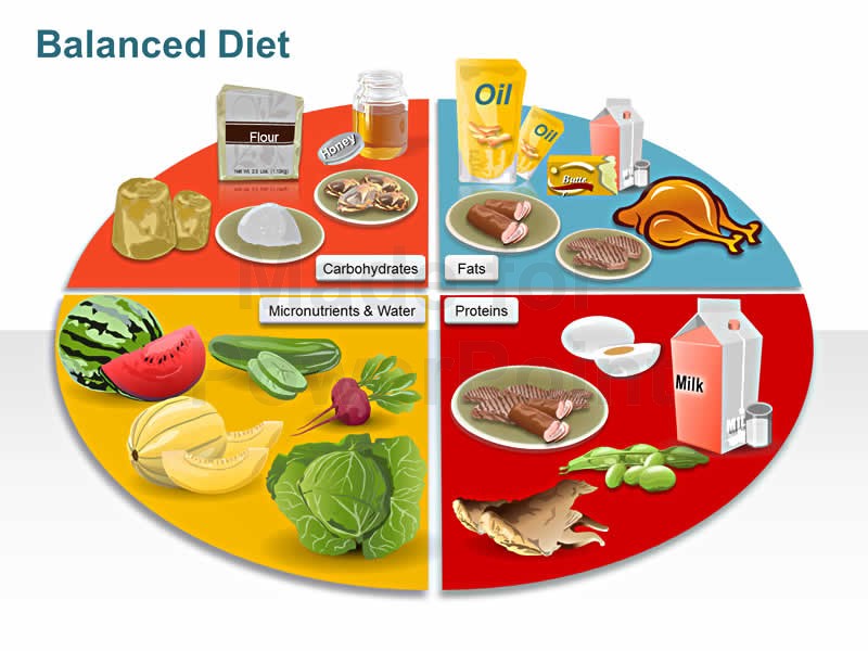 Healthy Food For Kids Clip Art Library