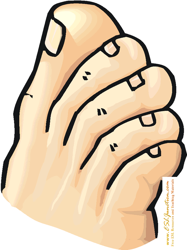 Free Toe Cliparts, Download Free Toe Cliparts png images, Free ClipArts