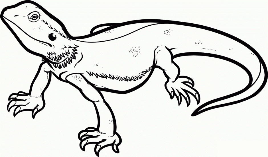 Free Lizard Black And White Clipart