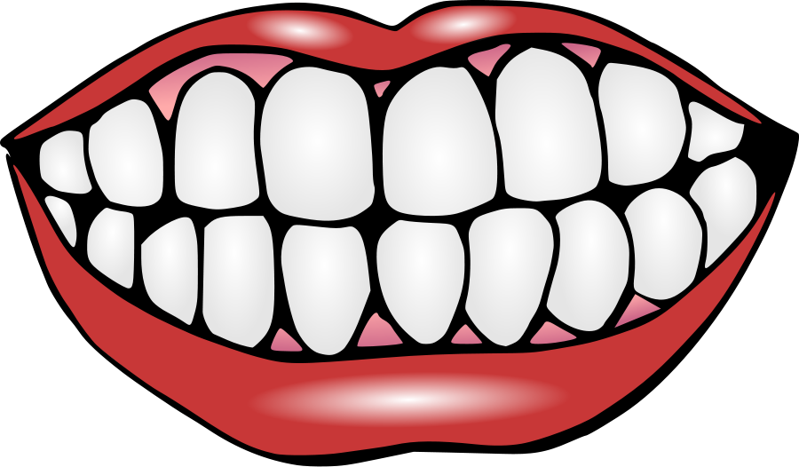 Mouth and Teeth Clipart