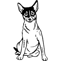 Sitting Rat Terrier Dog Clip Art For Engraved Products 