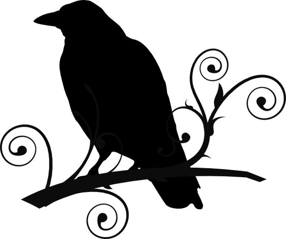 Raven+Pictures+Bird+Silhouette