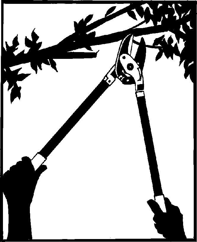 Free Pruning Cliparts Download Free Pruning Cliparts Png Images Free