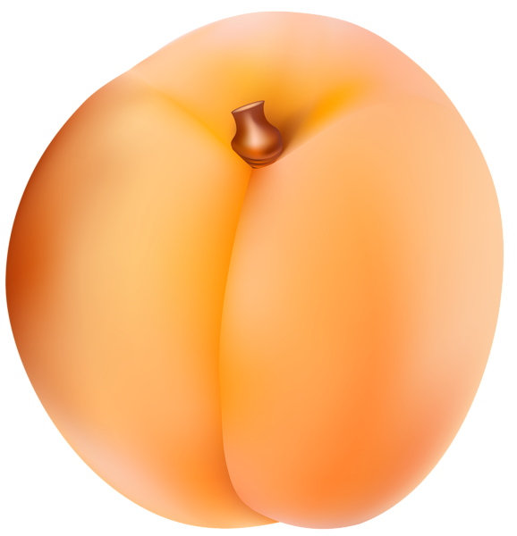 Apricot PNG Clip Art Image