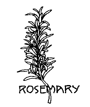 Rosemary cliparts