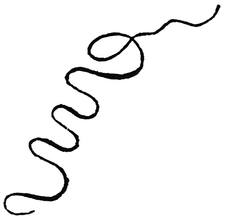 Squiggle Line