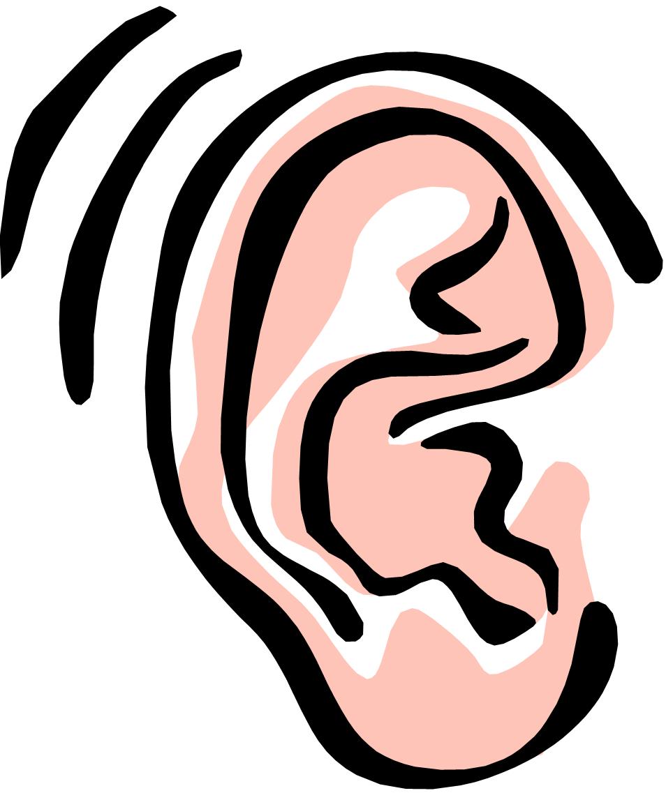 Image Of An Ear
